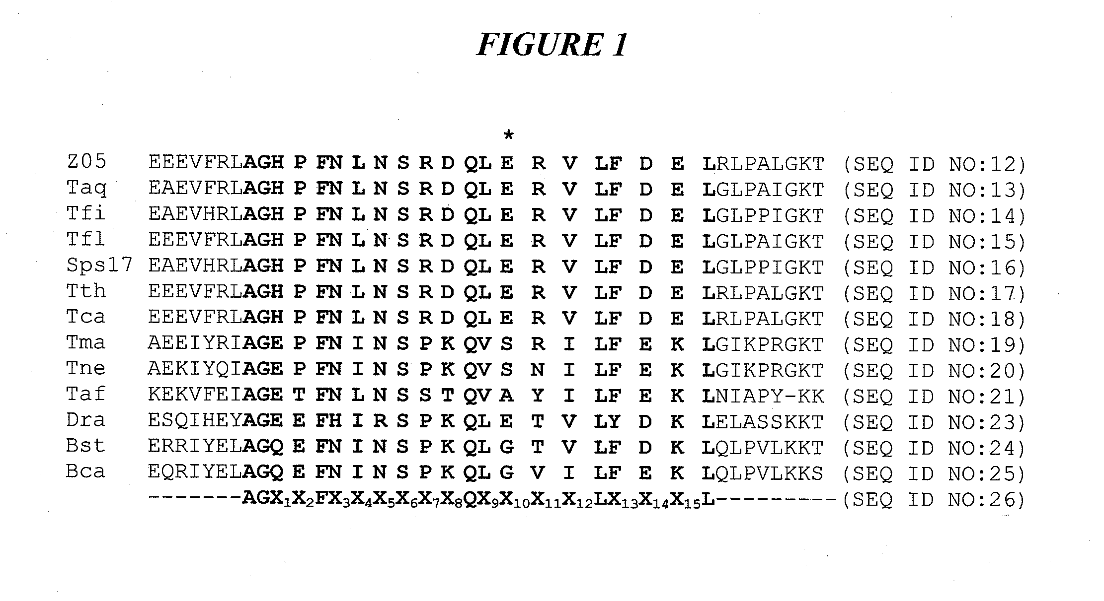 DNA polymerases with increased  3'-mismatch discrimination