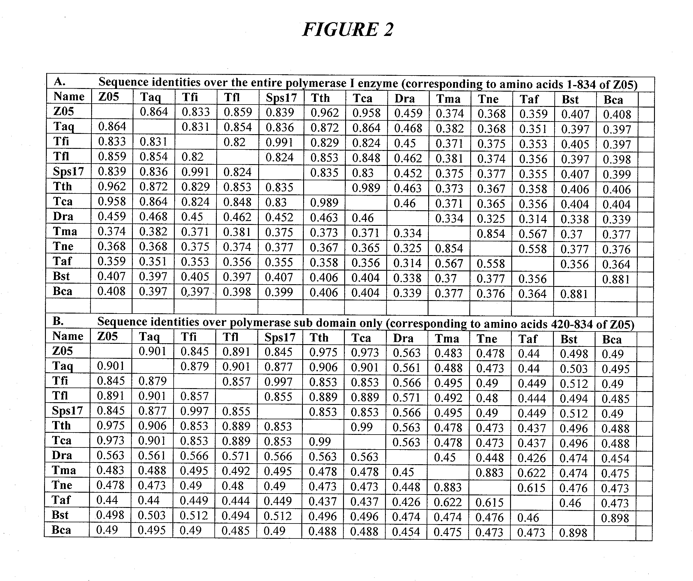 DNA polymerases with increased  3'-mismatch discrimination