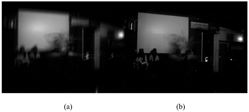 A Video Stabilization Method Based on Color Constant and Geometry Invariant Features