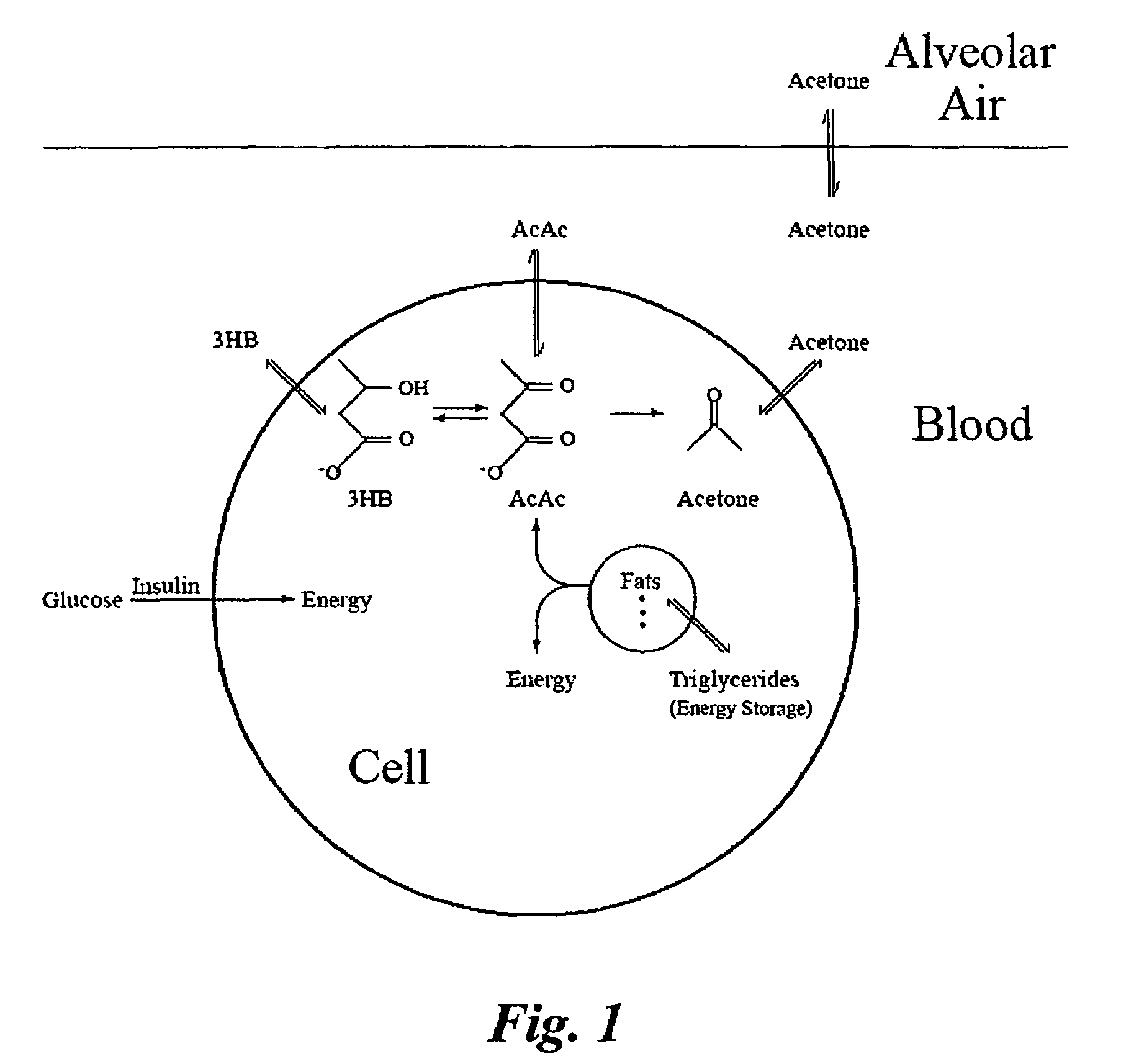 Breath-based sensors for non-invasive molecular detection