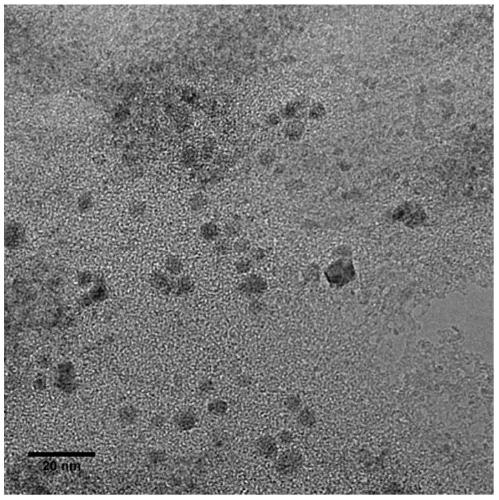 A kind of fluorescent nanoparticle and its synthesis method, application