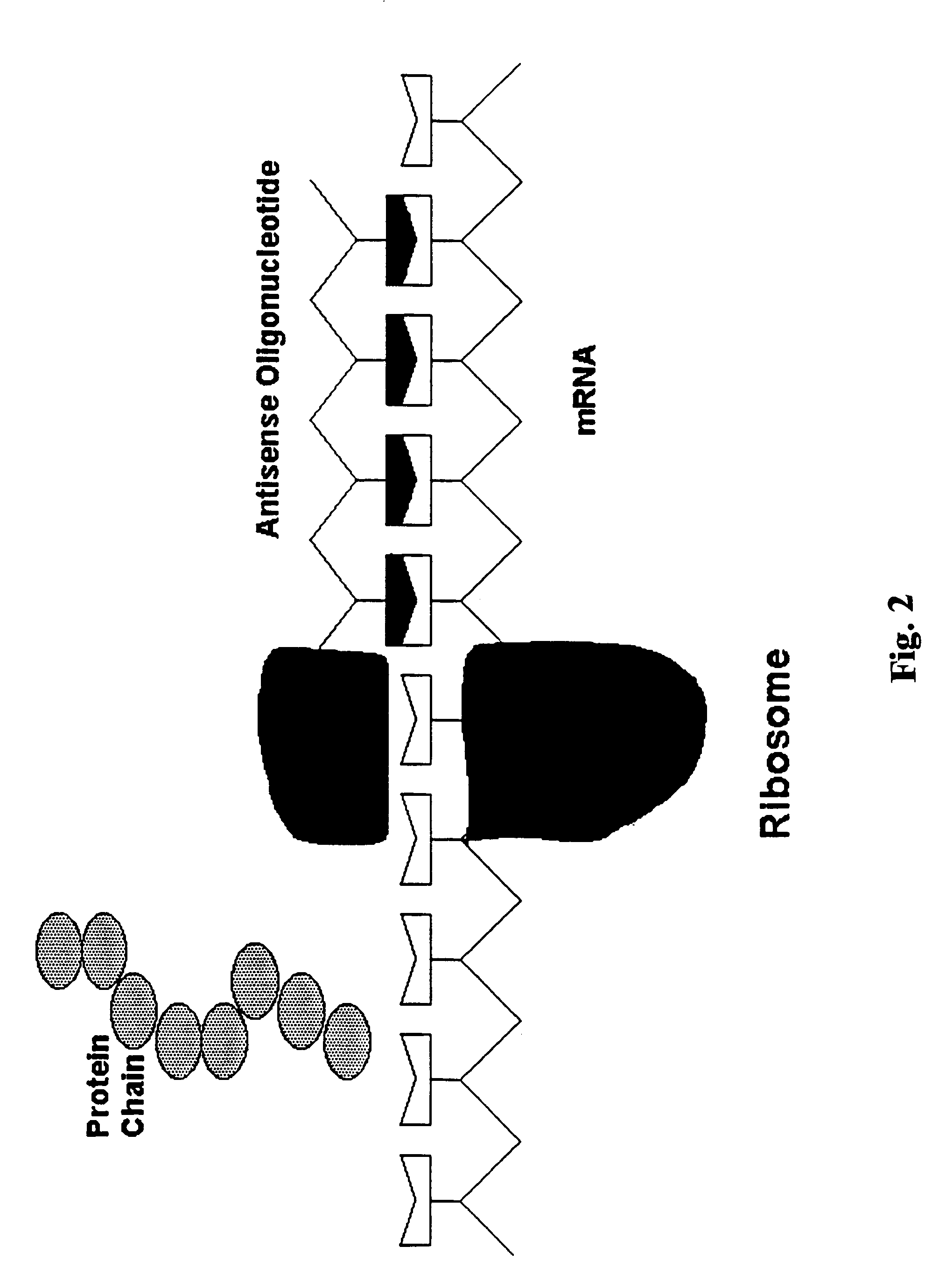 Treatment of Parkinson's disease with oligonucleotides