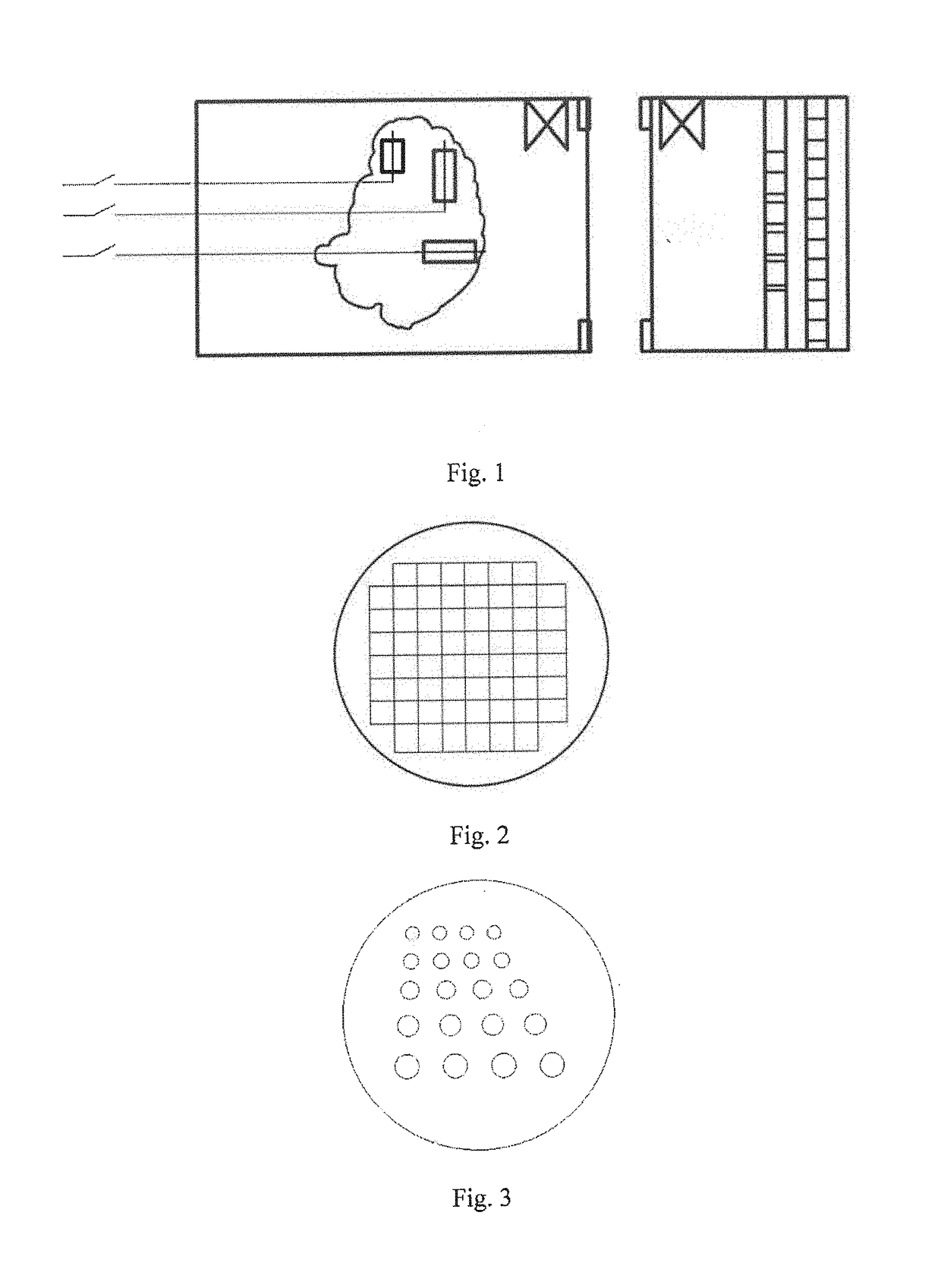 Functional magnetic resonance imaging quality detection phantom and method