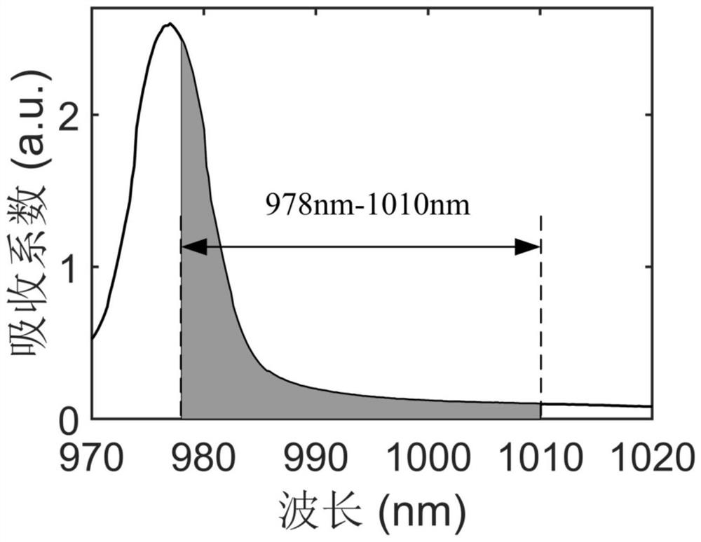 Ytterbium doped fiber laser using specific wavelength band pumping