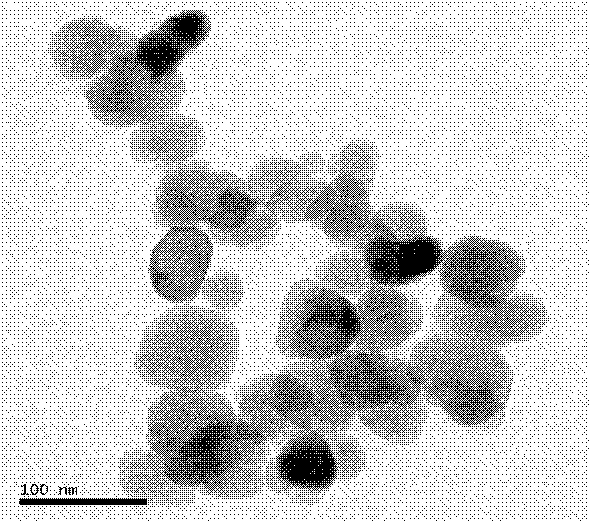 Preparation method of ferroferric oxide/chitosan/TiO2 nanocomposite photocatalysis material