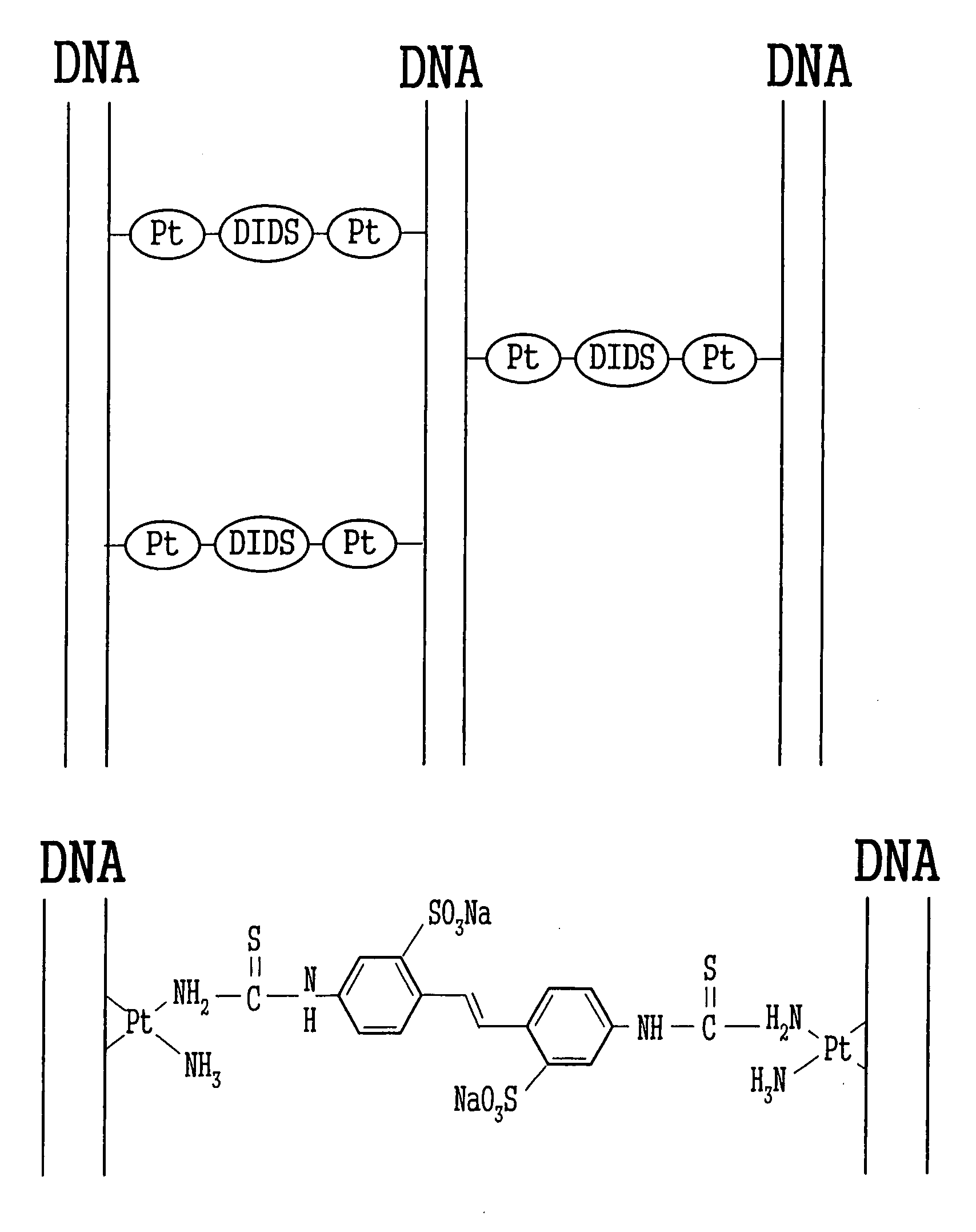 Organic conductor