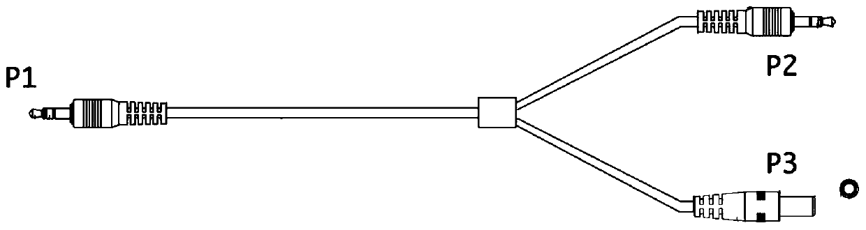 Real-time speech stream extraction and speech recognition system and method