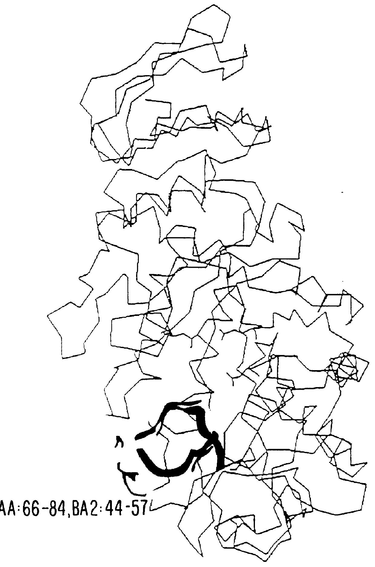 Alpha -amylase mutants