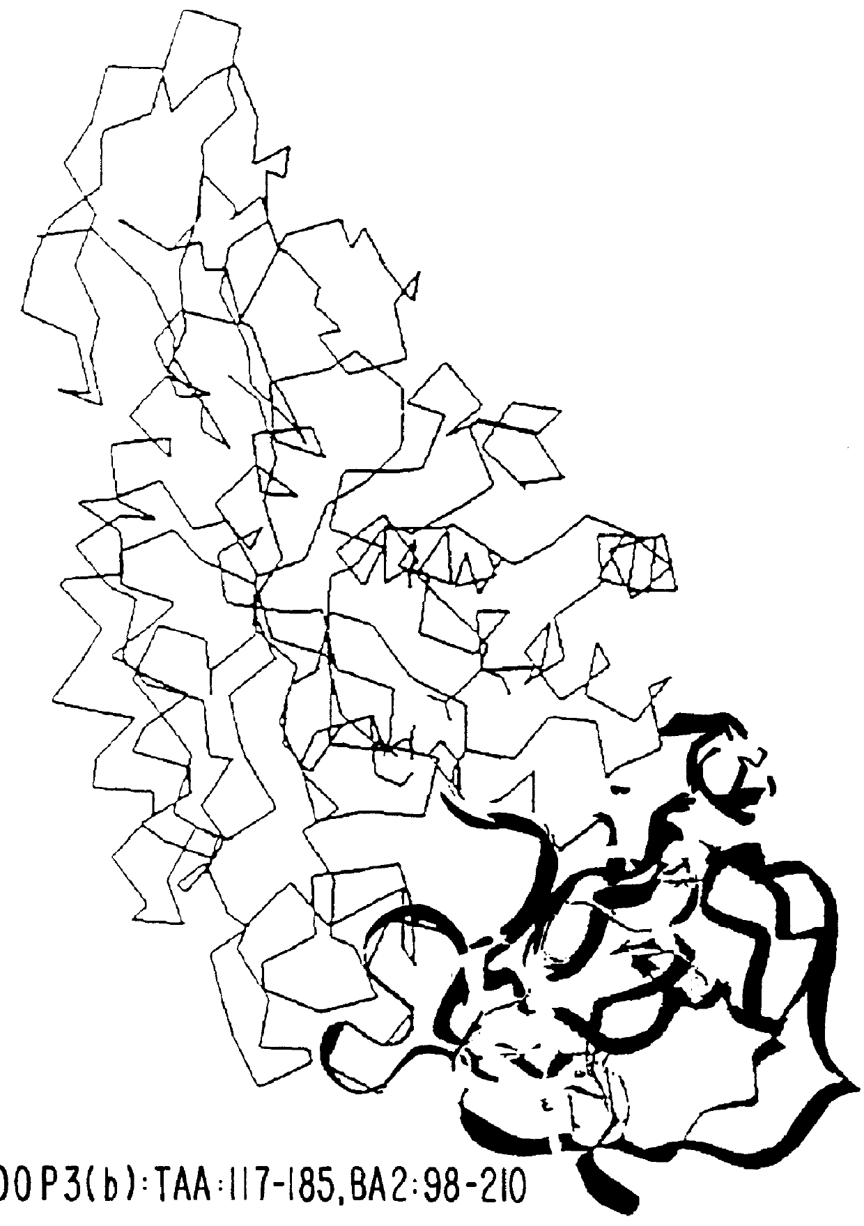 Alpha -amylase mutants