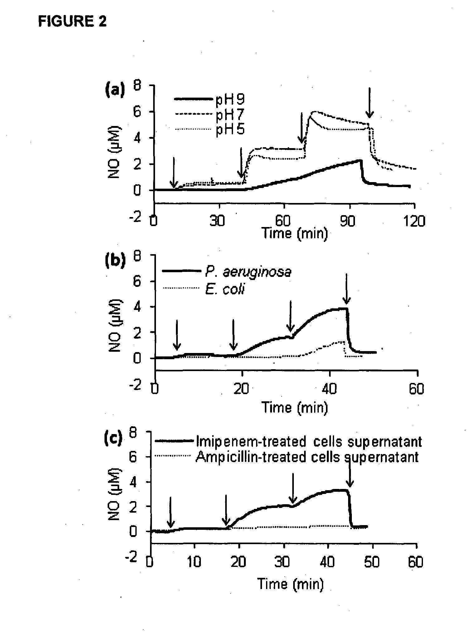 Regulation of nitric oxide release and biofilm development