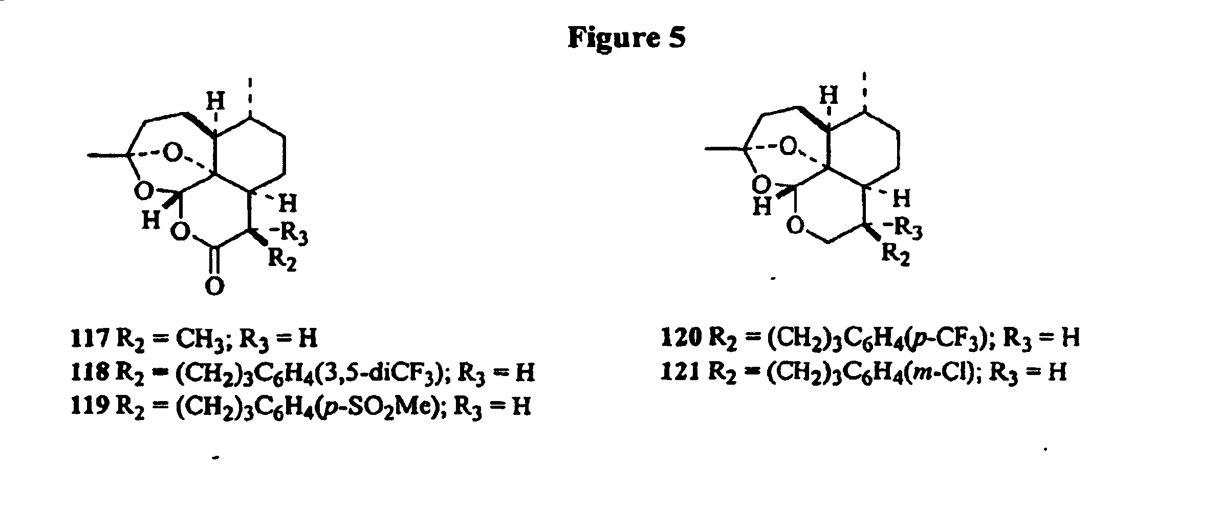 Artemisinin-based peroxide compounds as broad spectrum anti-infective agents