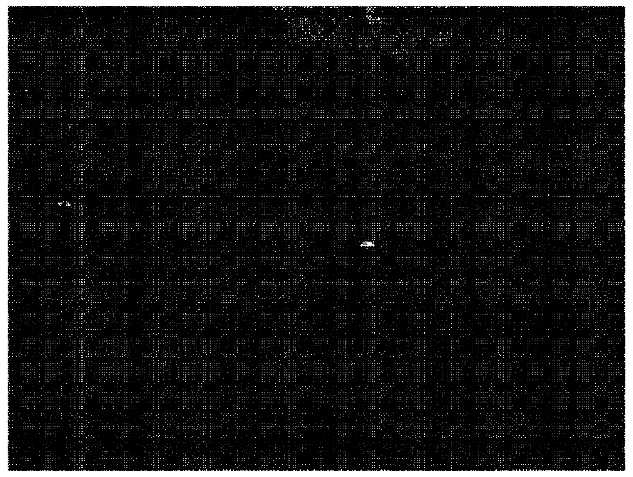 Glass etching composition, and method for manufacturing Anti-glare glass