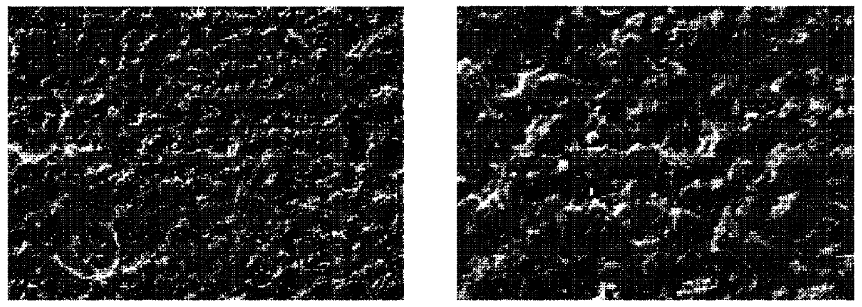 Glass etching composition, and method for manufacturing Anti-glare glass