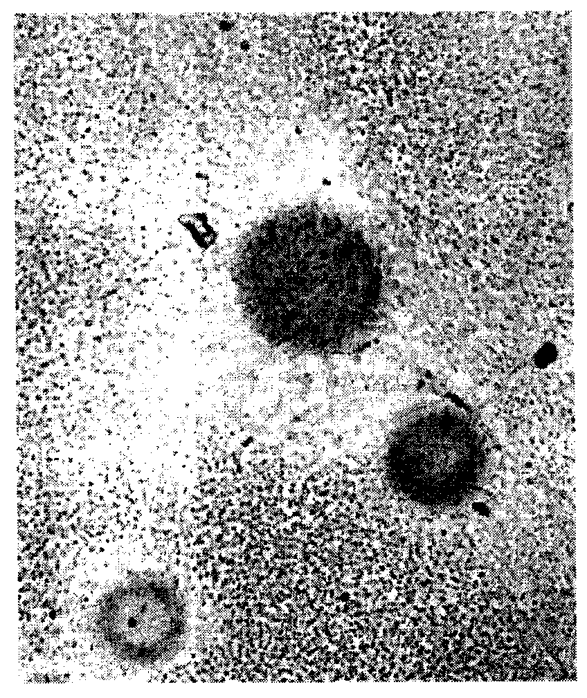 Explosive detection method based on portable mobile phone microscope