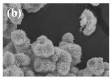 Preparation method and application of NiO-SnO2 composite material with flower-like structure