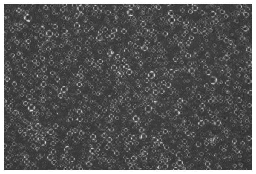 A kind of anti-oxidation and moisturizing liquid crystal composition and its preparation method and application