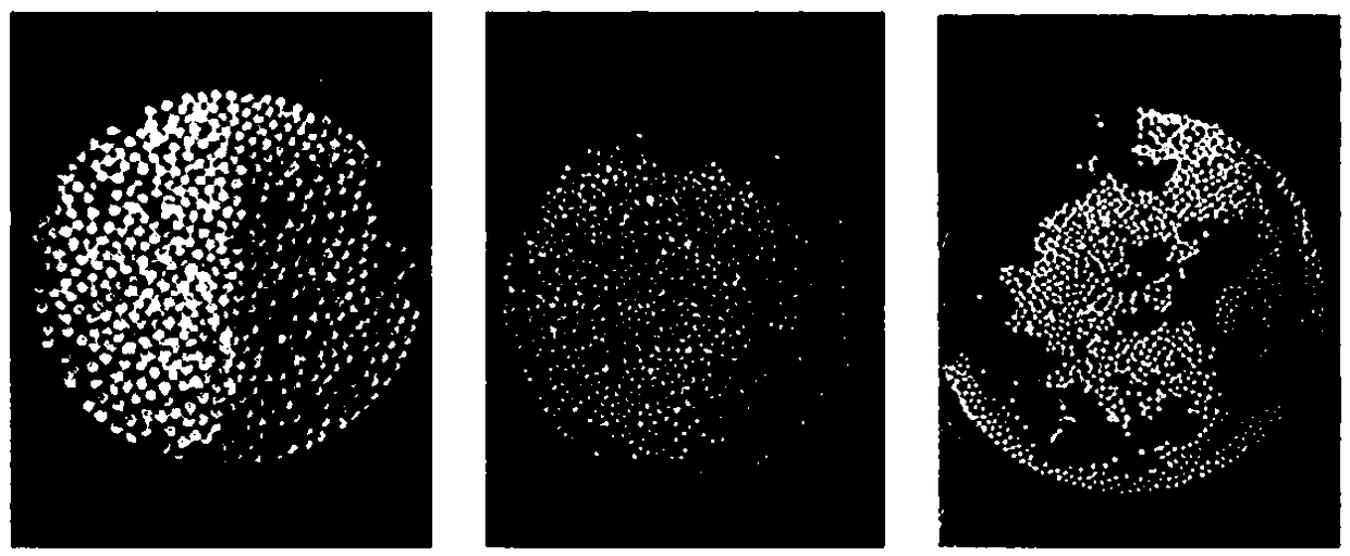 Heavy metal adsorbent and preparation method and application thereof