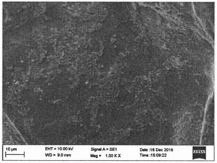 Probiotics enriched crisp apple products and preparation method thereof