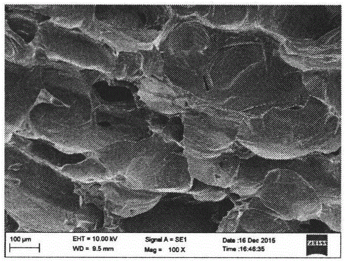 Probiotics enriched crisp apple products and preparation method thereof