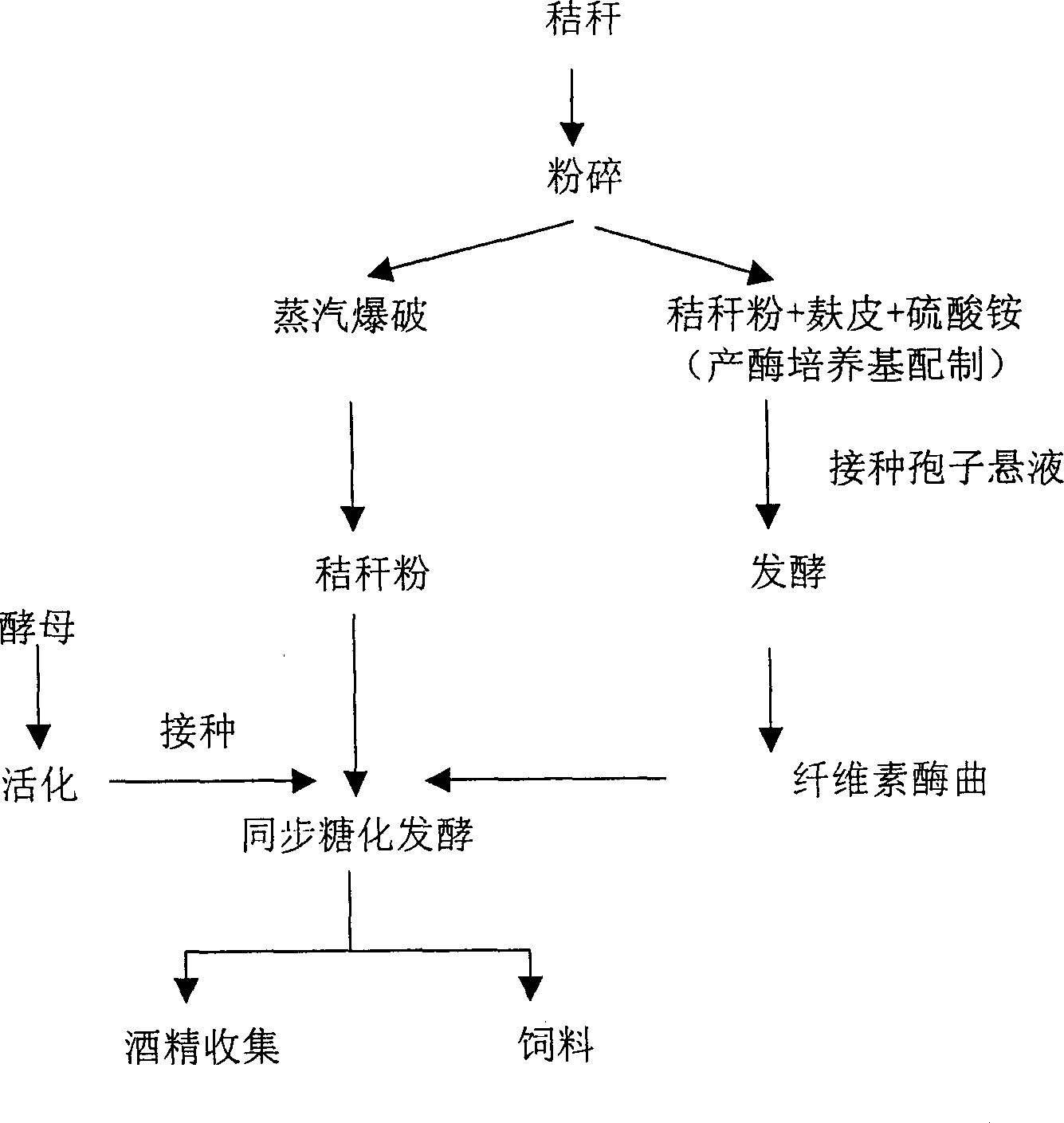 Method for producing alcohol by solid fermentation of stalks