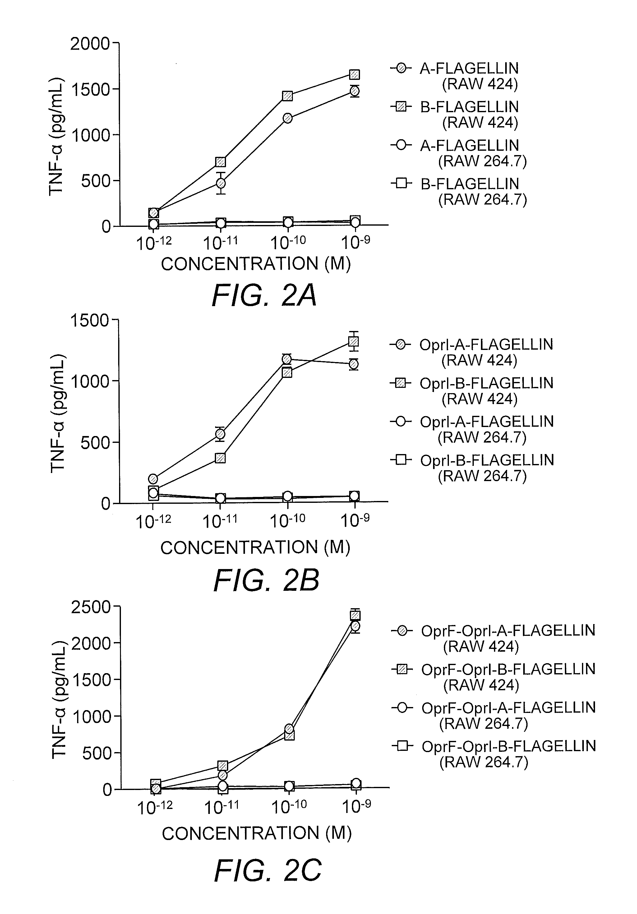 Flagellin fusion proteins and use thereof to induce immune responses against pseudomonas aeruginosa