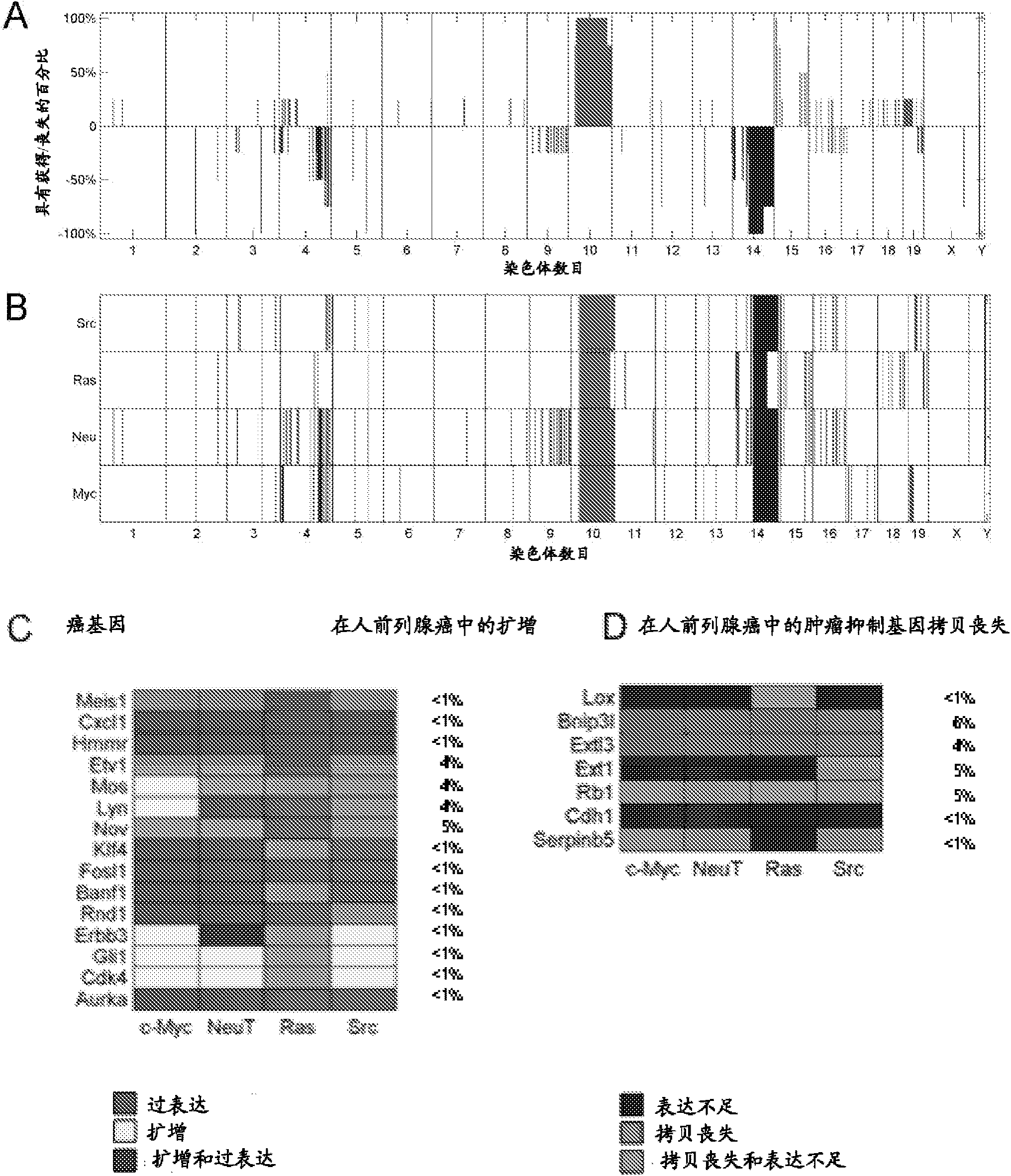 Prostate cancer cell line, gene signatures and uses thereof