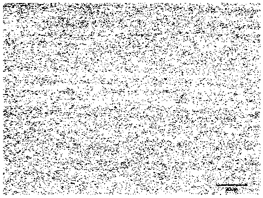 Hot rolling multiphase steel and production method thereof