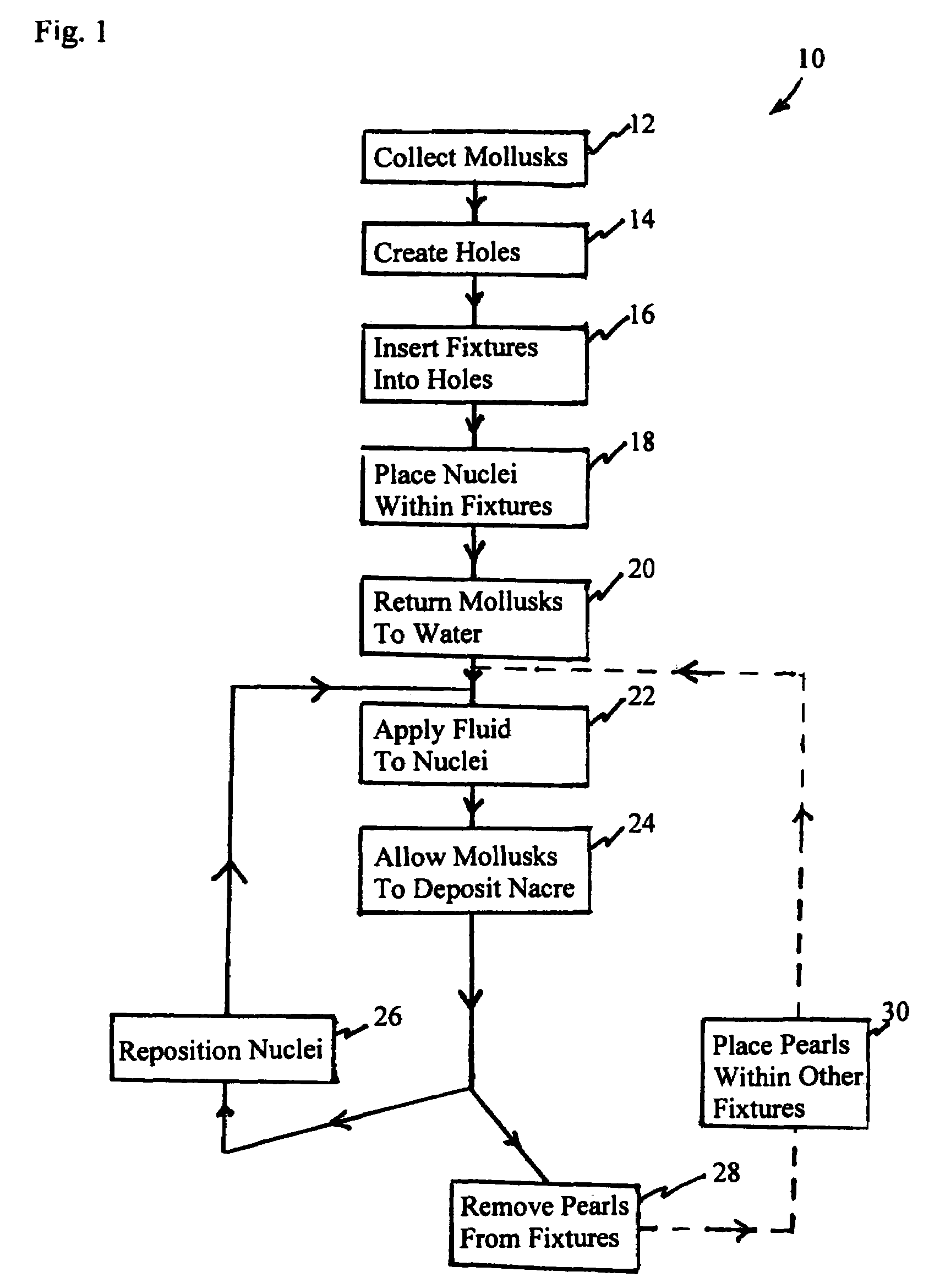 Pearl culture method and product