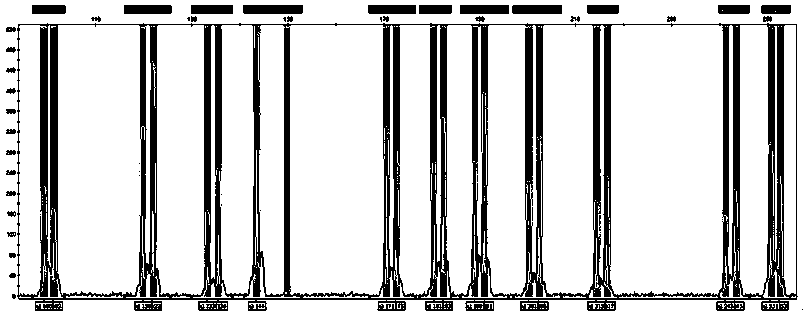 F9 gene copy number variation detection kit