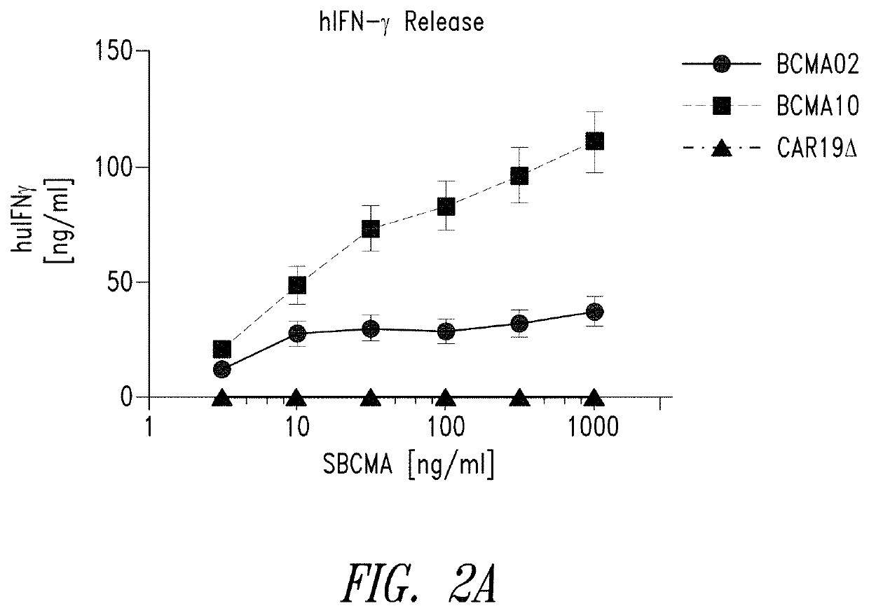 Bcma chimeric antigen receptors