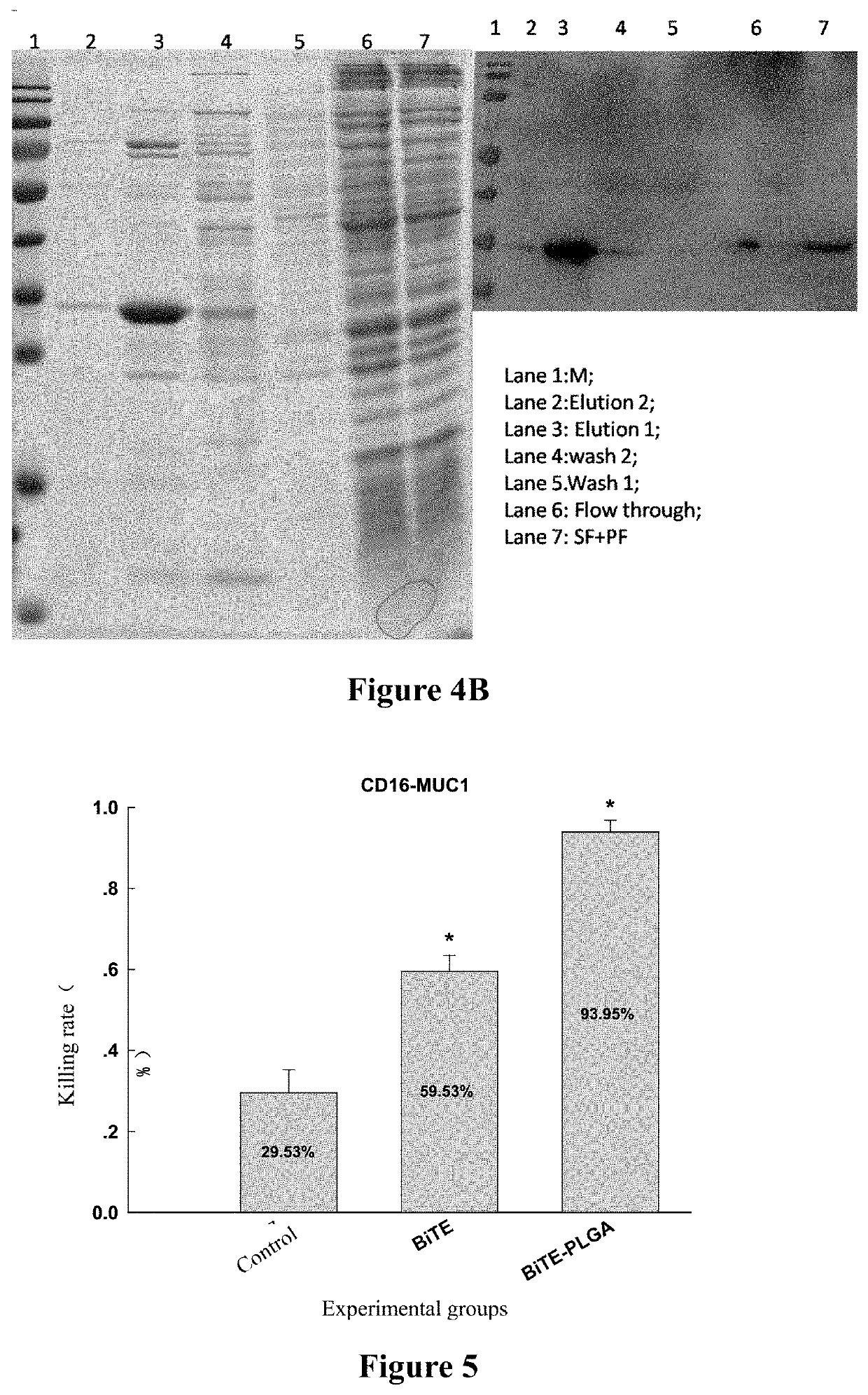 Antibody conjugate, and related pharmaceutical composition and application