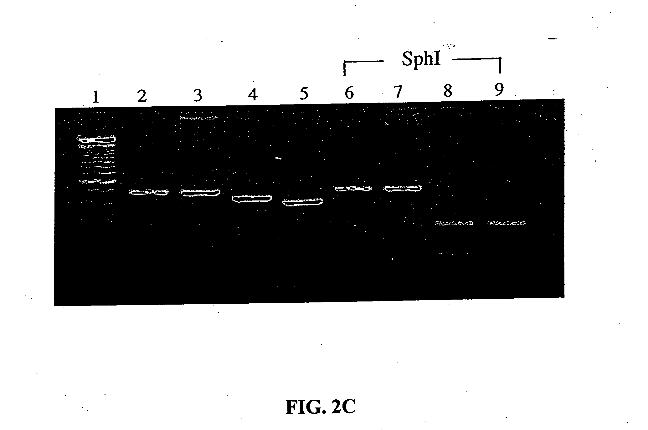 Diminishing viral gene expression by promoter replacement