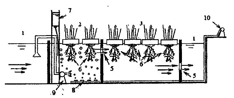 Method for treating landscape water body eutrophication pollution