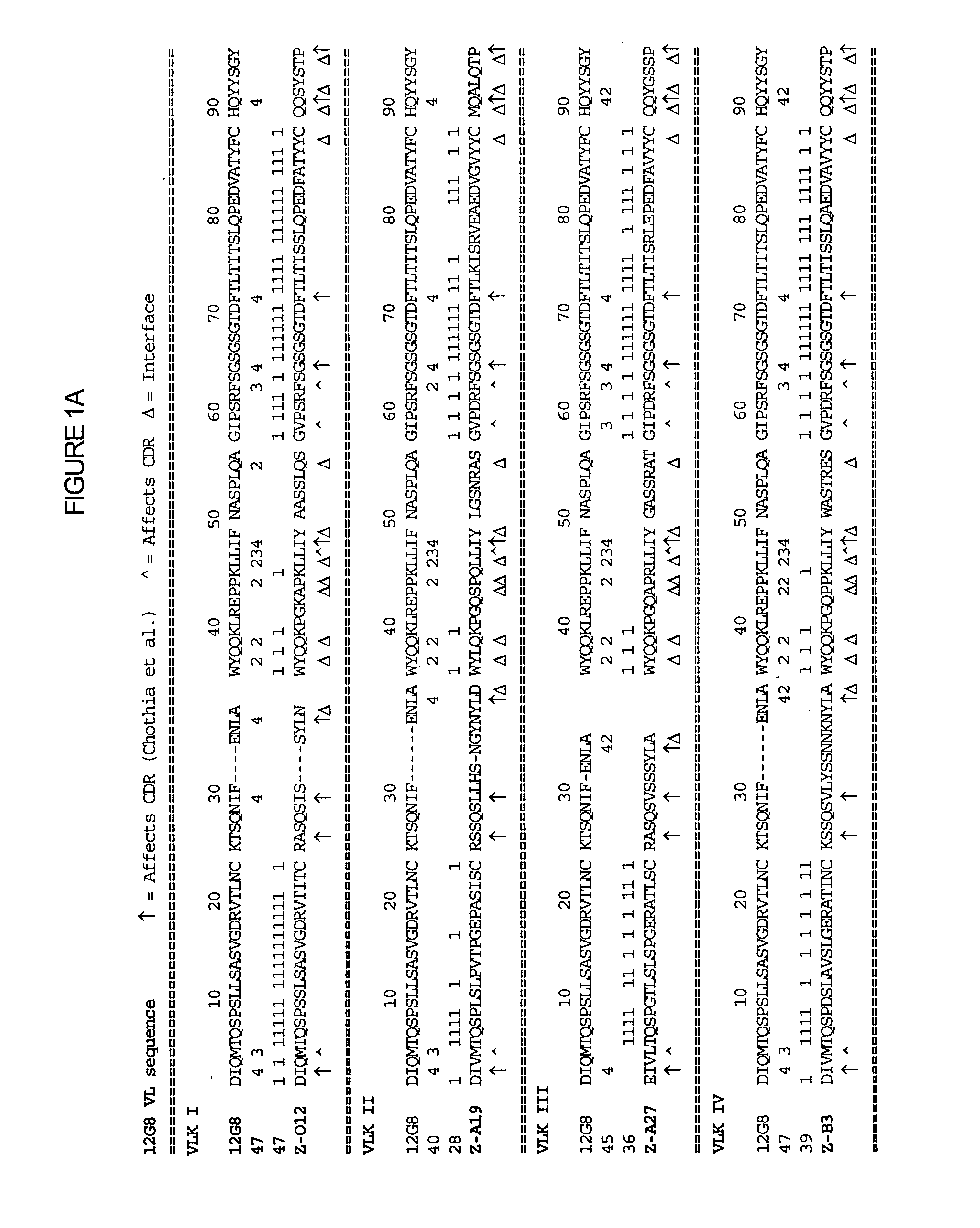 Interleukin-10 antibodies