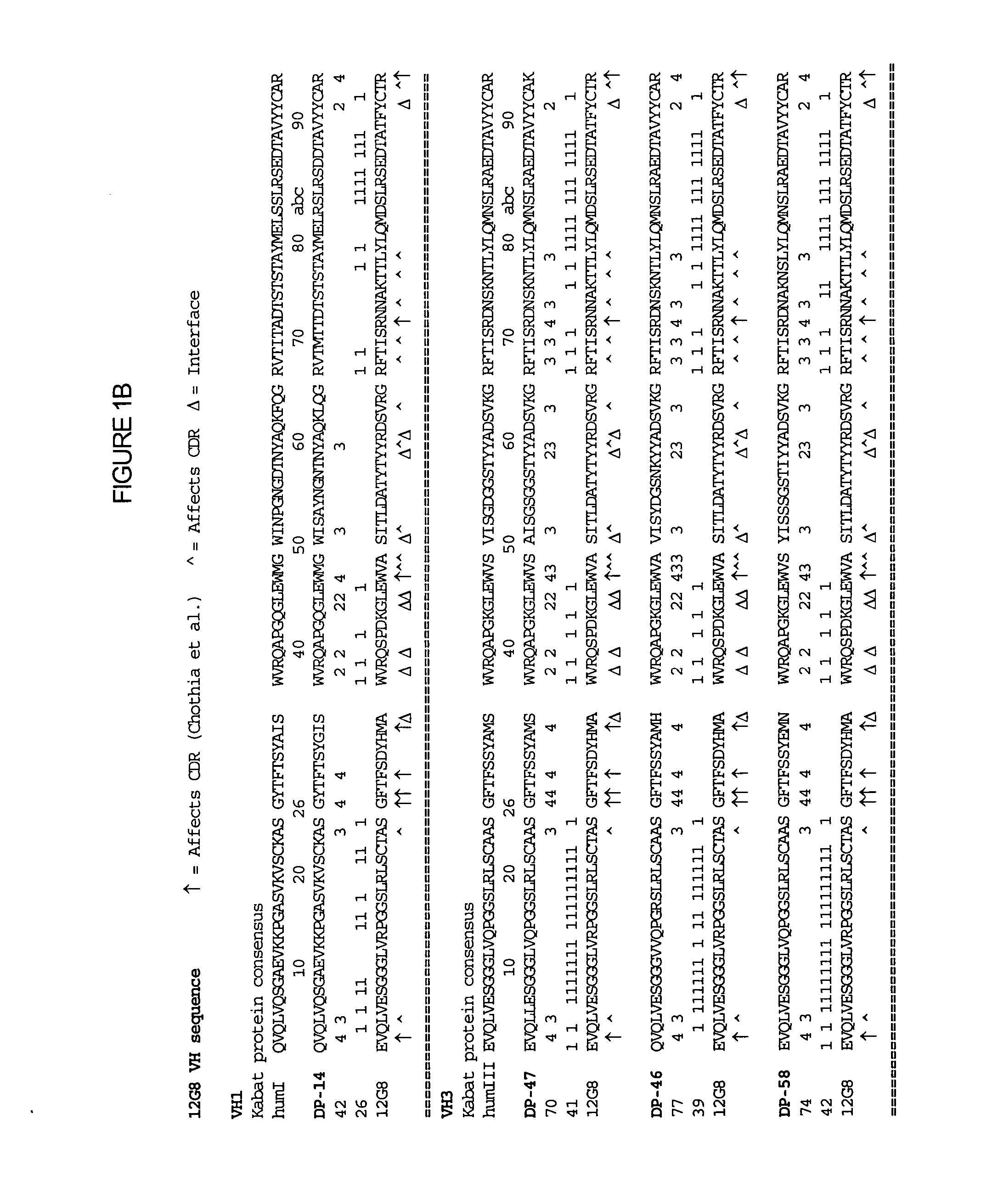 Interleukin-10 antibodies