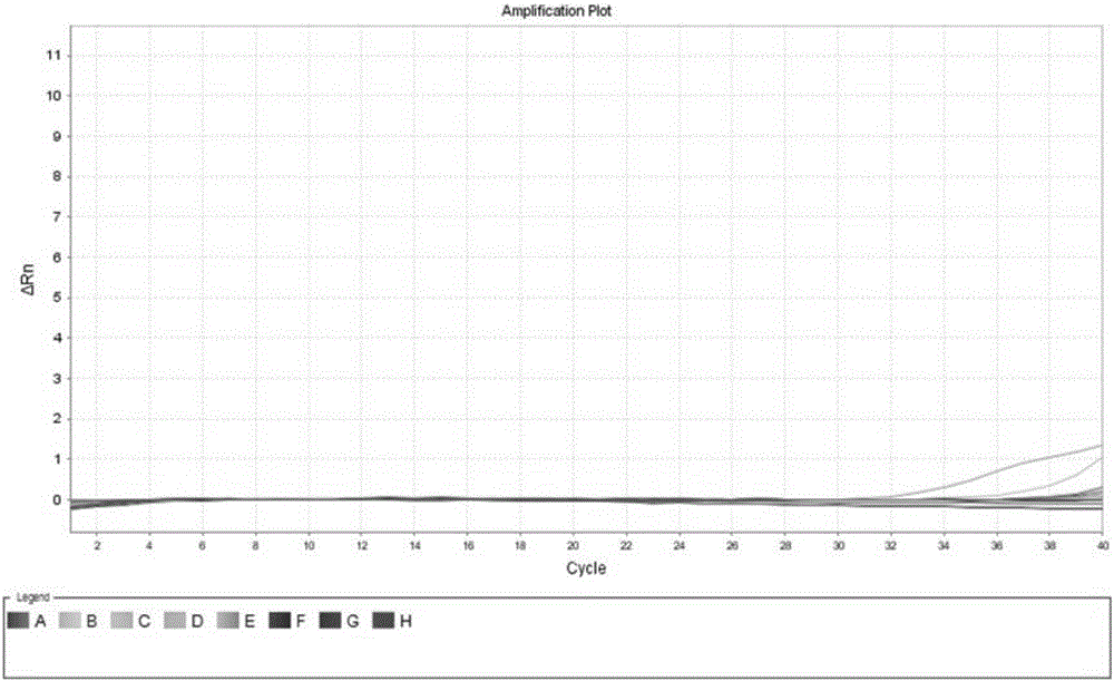 Primer group, probe and kit for kawasaki disease detection