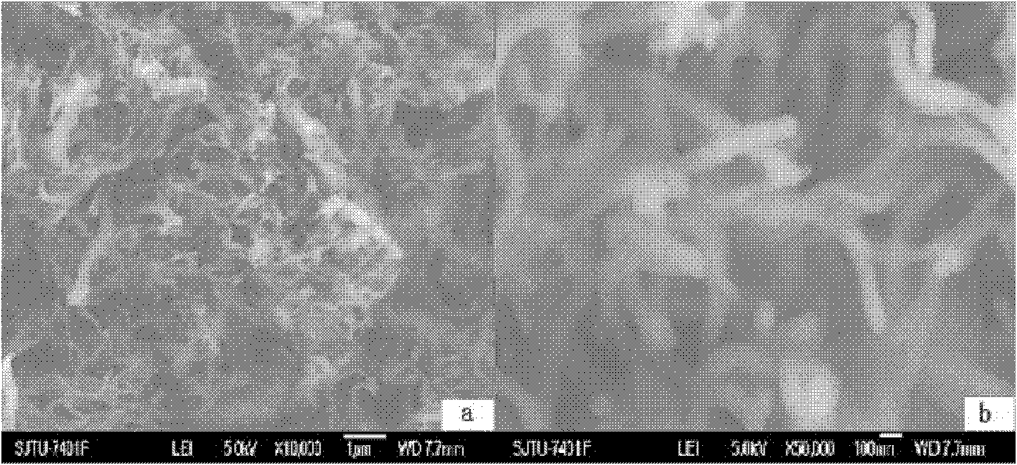 Preparation method of composite material based on epoxy resin and phosphazene nanotubes