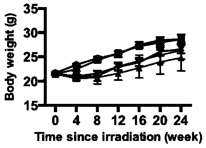 Application of cilengitide in preparation of drugs for preventing radioactive lung injury