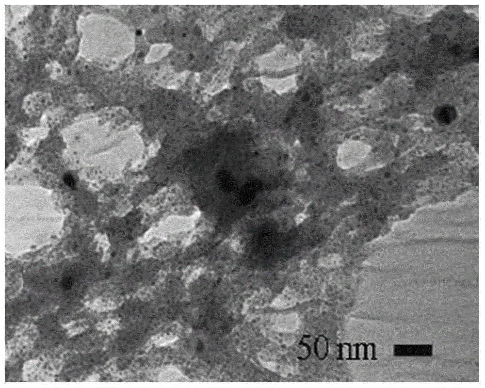 A kind of preparation method of chrysanthemum synthetic nano zero valent iron suspension