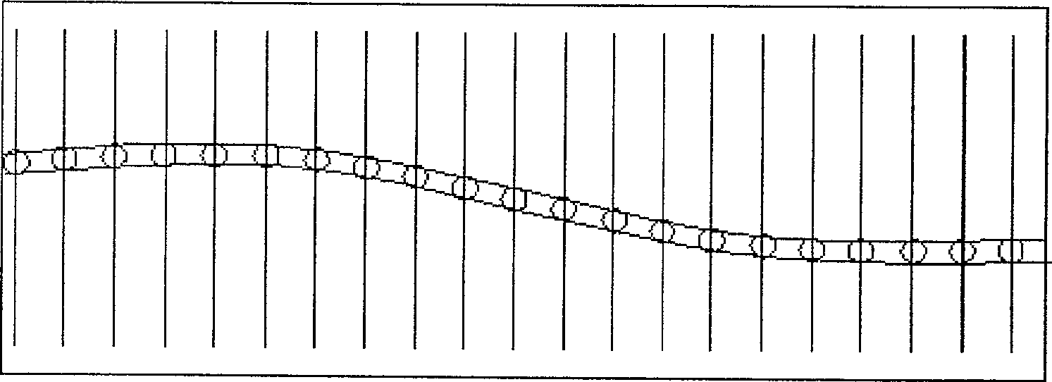 Dual-color laser scanning type medical vein display equipment