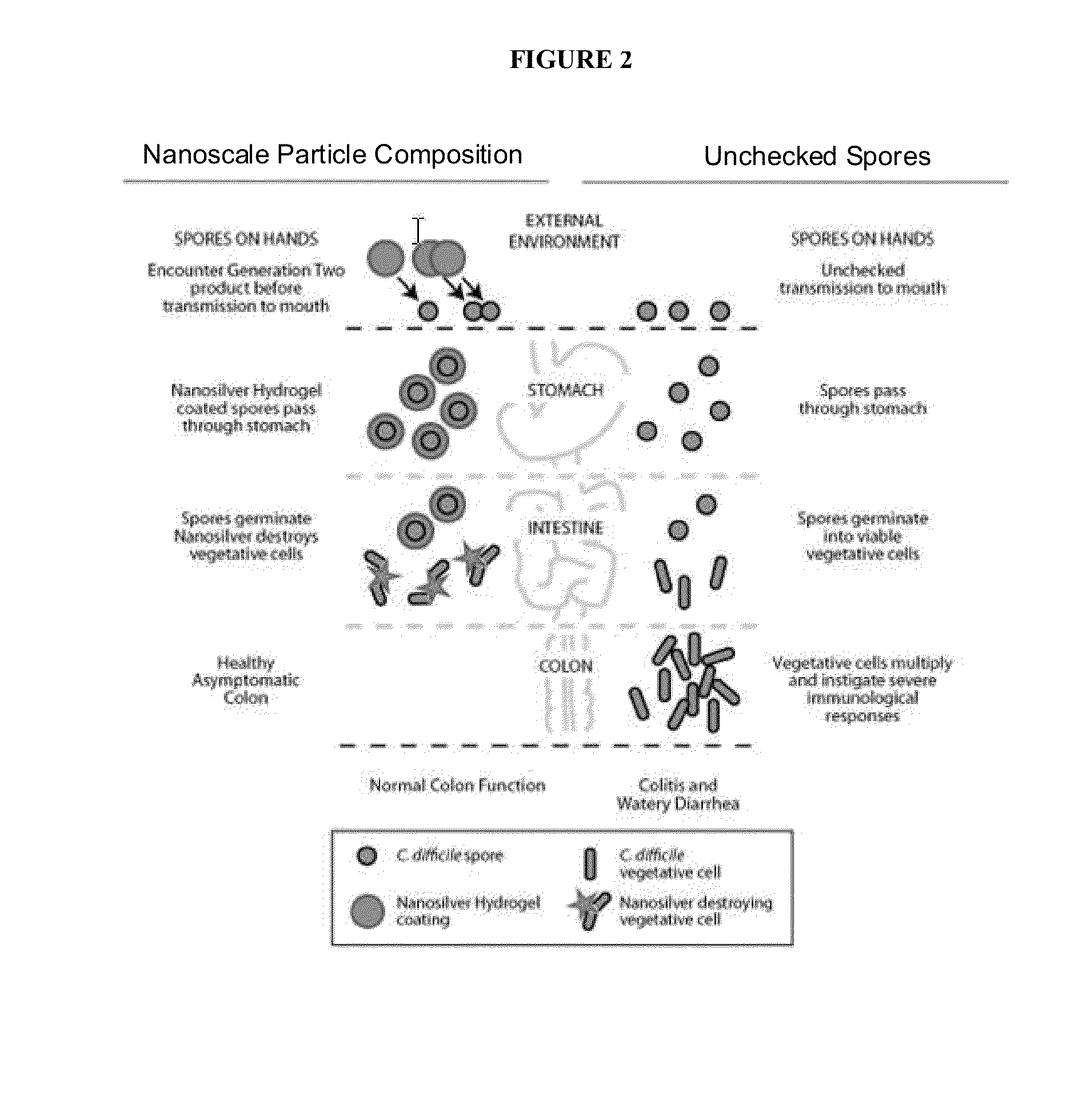 Endospore compositions and uses thereof