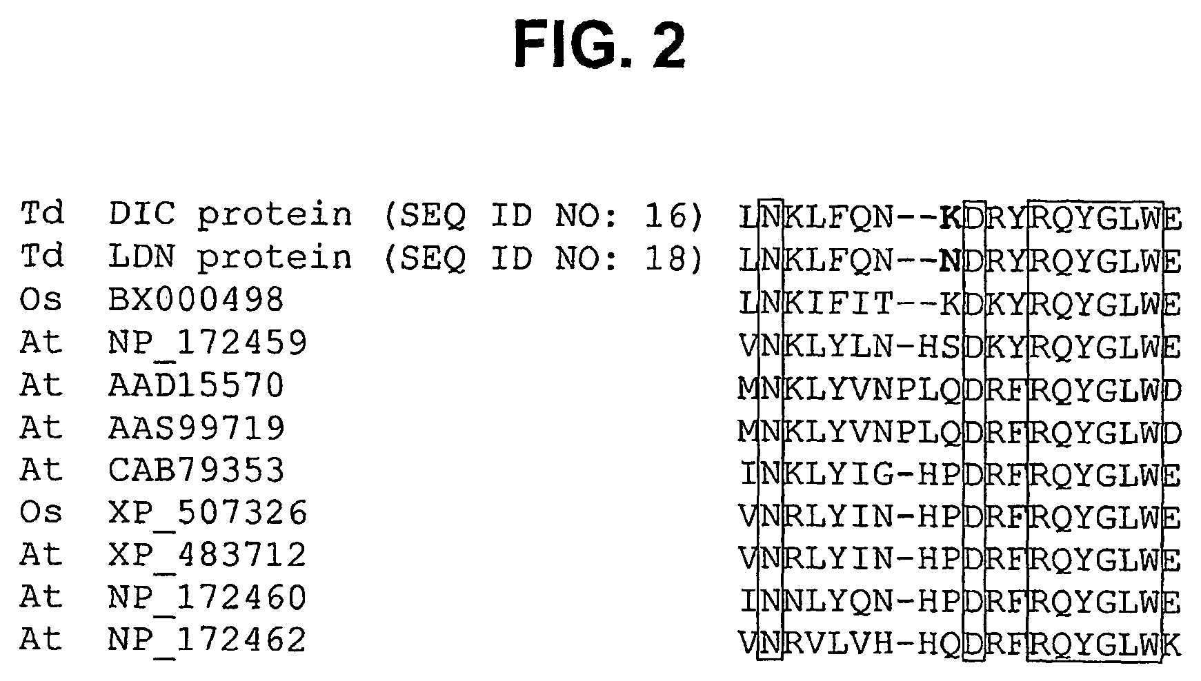 NAC from wheat for increasing grain protein content