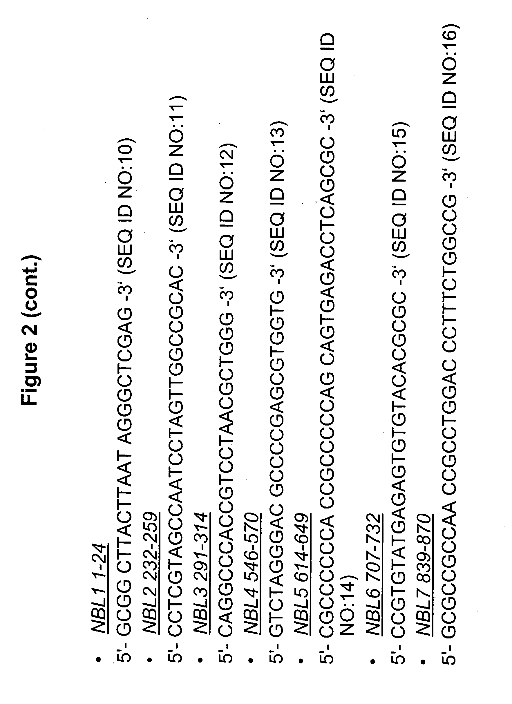 Methods and compositions for the inhibition of gene expression