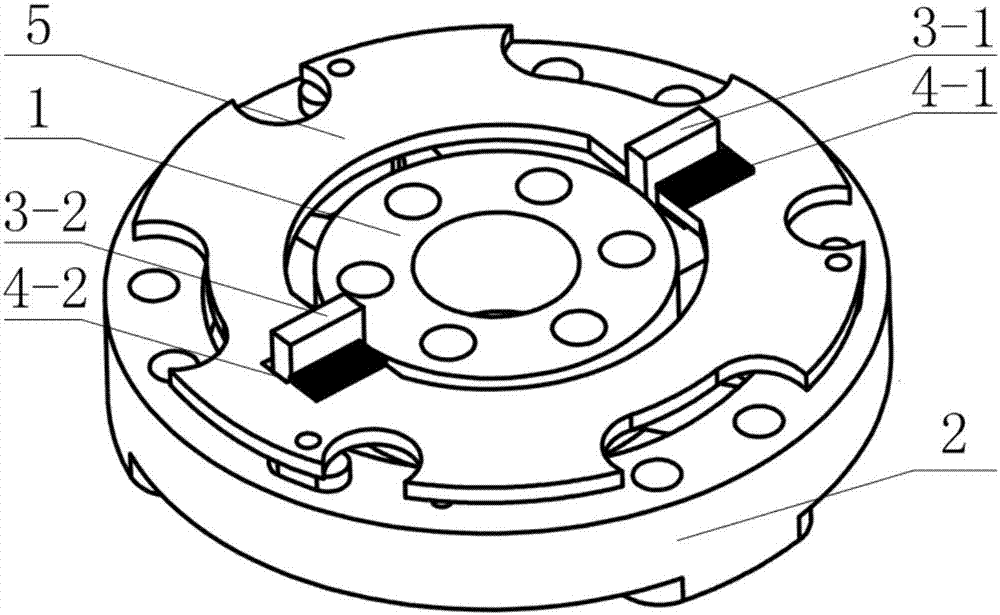 Differential capacitive sensor applicable to torque detection