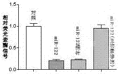 Micro ribonucleic acid 122 (miR-122) probe and preparation method thereof