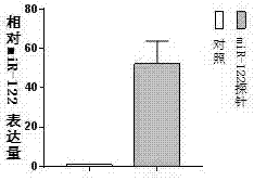 Micro ribonucleic acid 122 (miR-122) probe and preparation method thereof