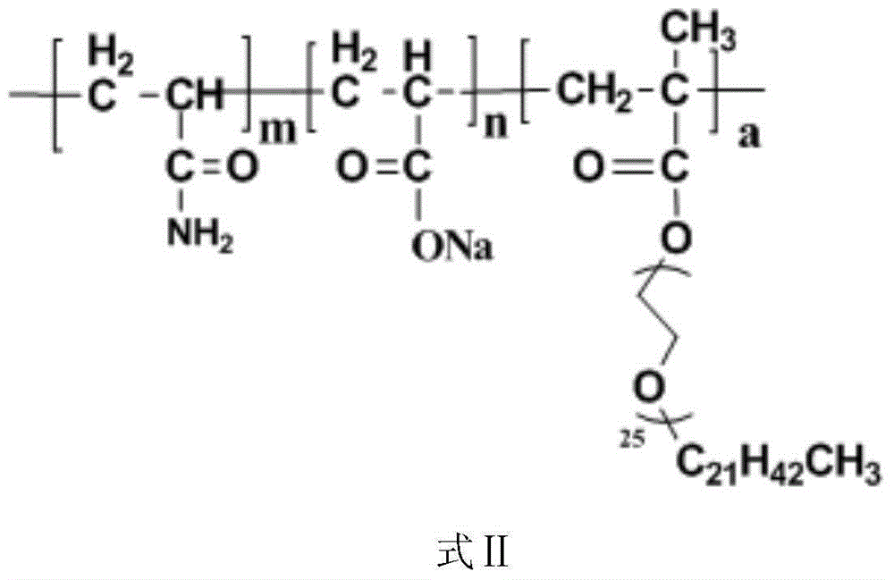 Partially hydrolyzed acrylamide water-soluble polymer with utlralong hydrophobic long chain, preparation method therefor and application thereof