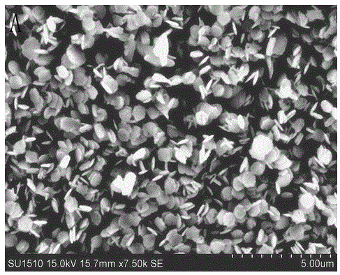 Synthesis method of high-activity TiO2 nanodisk photocatalyst