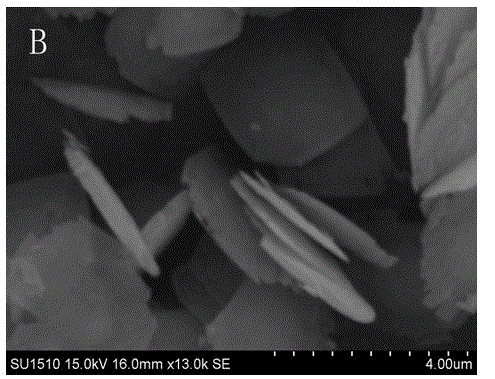 Synthesis method of high-activity TiO2 nanodisk photocatalyst