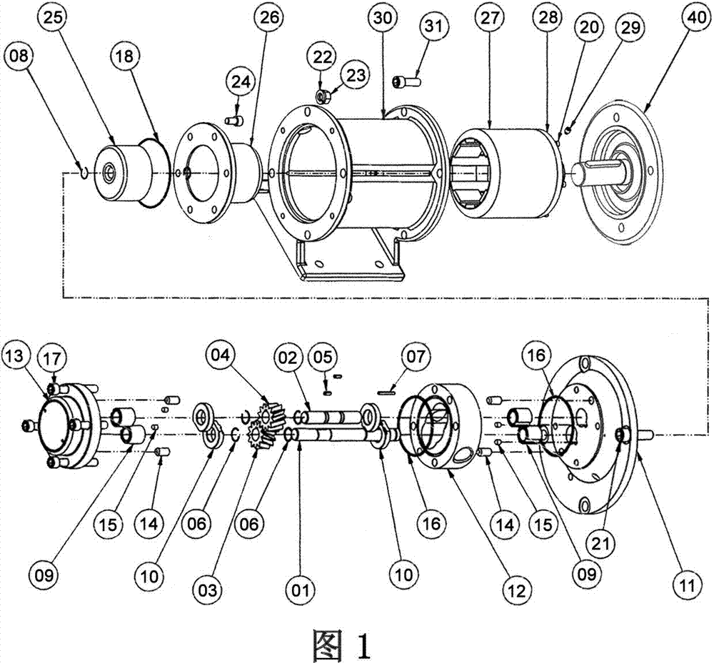 Novel high-pressure chemical industry gear pump